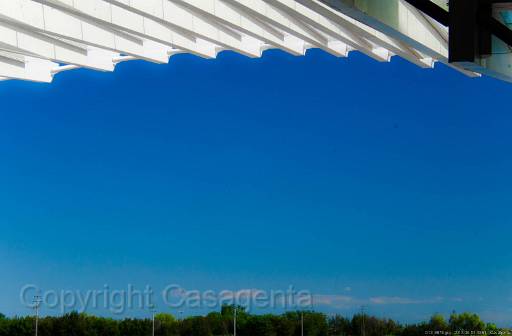 D13_8878.jpg