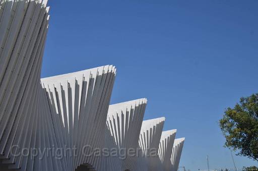D13_8881.jpg