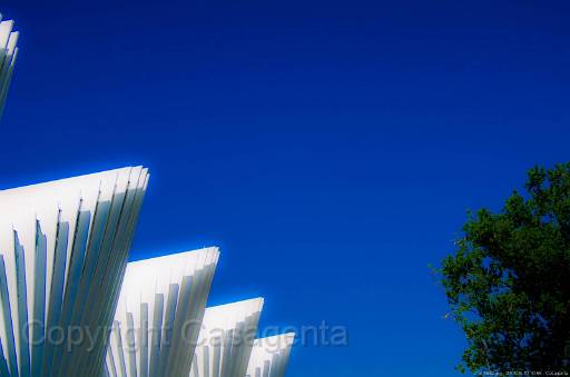 D13_8882.jpg