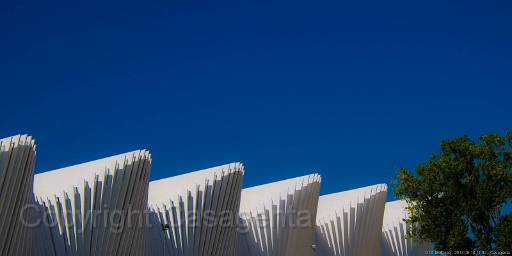 D13_8890.jpg