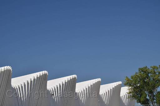 D13_8891.jpg