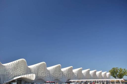 D13_8892.jpg