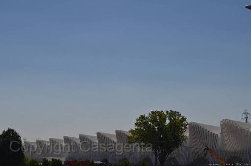 D13_8893.jpg