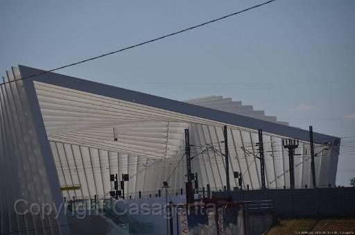 D13_8895.jpg