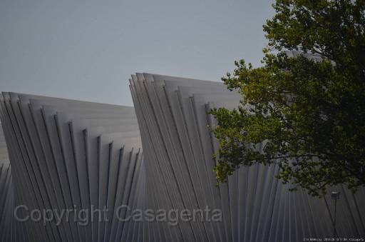 D13_8896.jpg