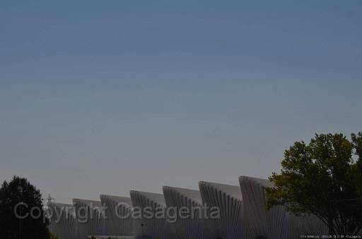 D13_8898.jpg