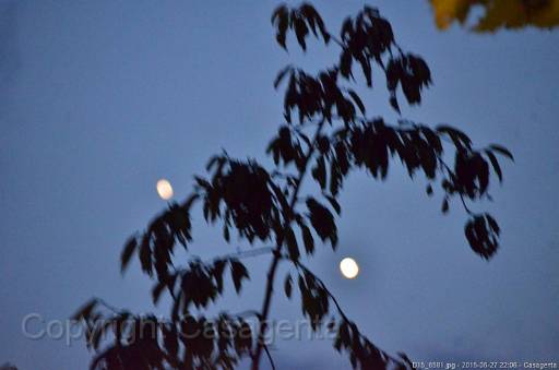 D15_6581.jpg