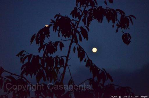 D15_6583.jpg