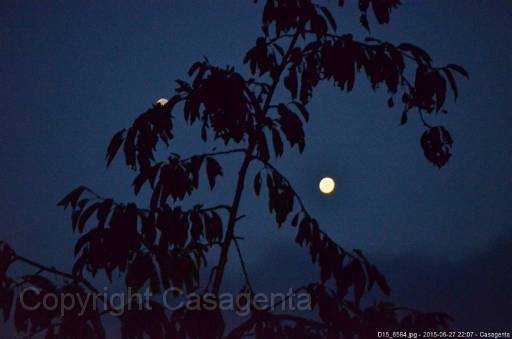 D15_6584.jpg