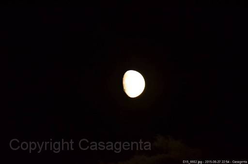 D15_6602.jpg