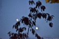 D15_6581