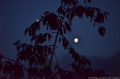 D15_6583
