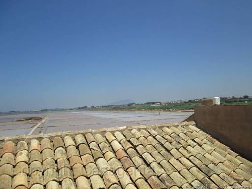 IMG_0208.jpg - Le saline - Mozia