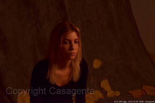D16_3851.jpg