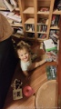 IMG-20221209-WA0047