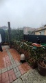 IMG_20260124_094913