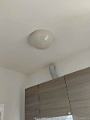 IMG-20260328-WA0050