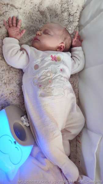 IMG_20260312_143526.jpg
