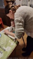 IMG_20260307_191828