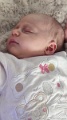 IMG_20260312_143616