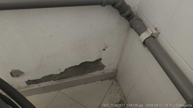 IMG_20260417_144138.jpg