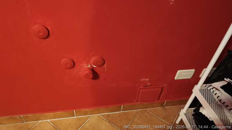 IMG_20260417_144457.jpg