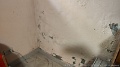 IMG_20260417_144058
