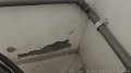 IMG_20260417_144138