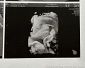 IMG-20260421-WA0027